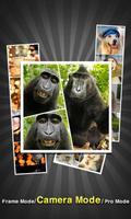 PicFrame - Photo Collage