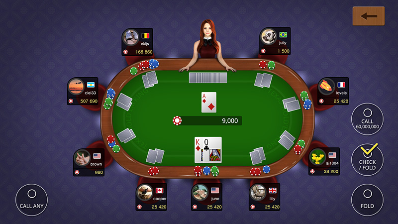 Texas holdem poker king