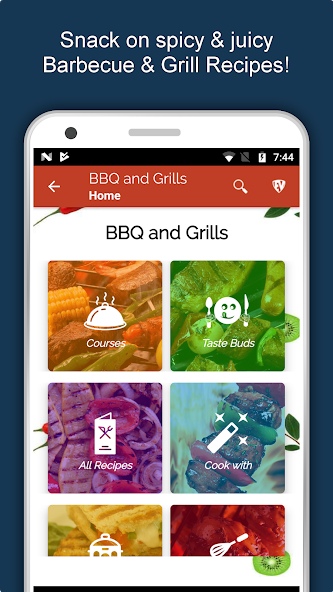 Barbecue Grill Recipes Offline