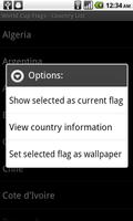 World Cup Flags Free