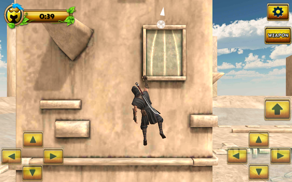 Ninja Samurai Assassin Hero