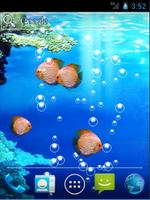 Live Oceans