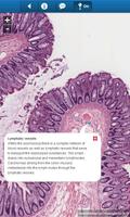 smart Histology Lite