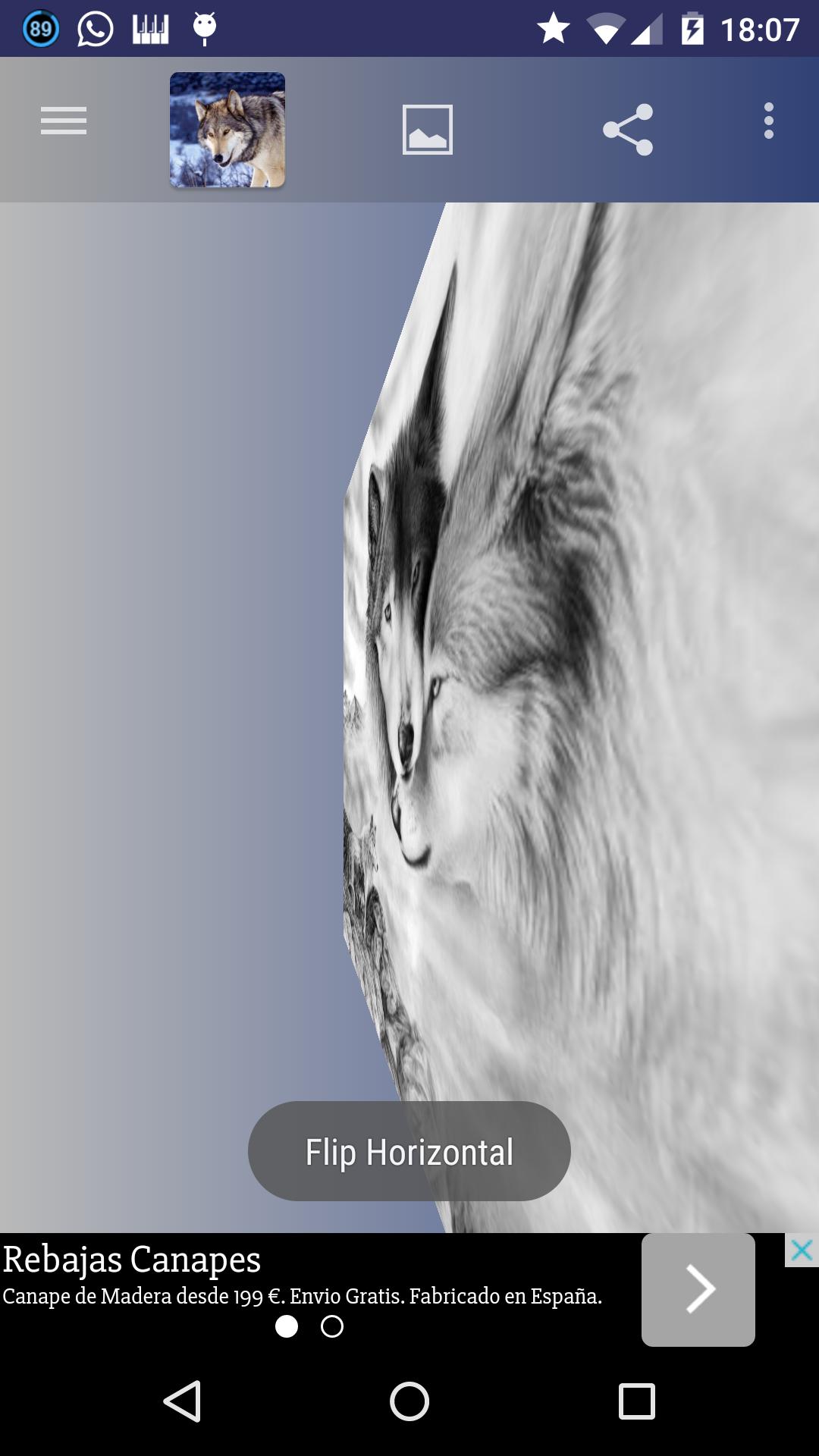 Wolfs wallpapers