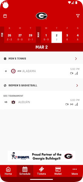 Georgia Bulldogs Gameday LIVE