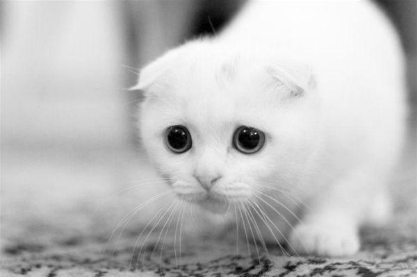 Depressive and sad wallpaper