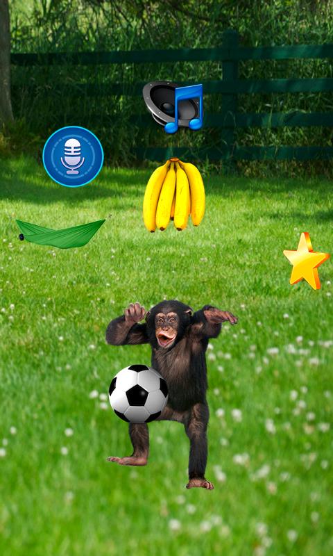 Real Talking Monkey