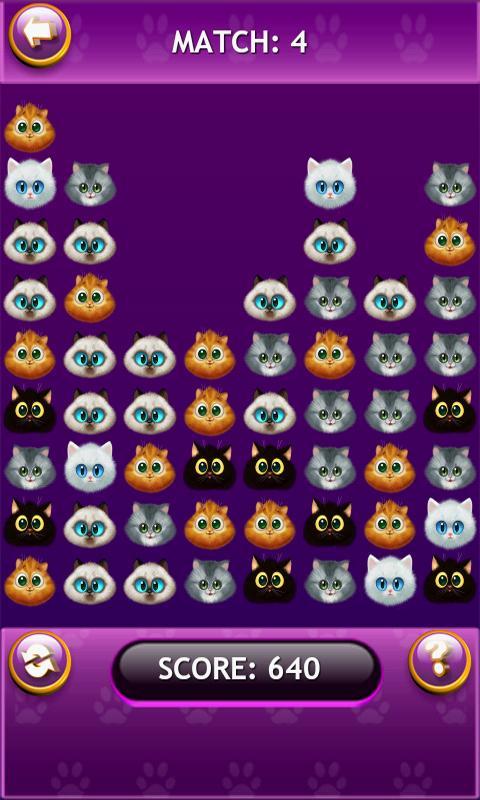 Cat Faces