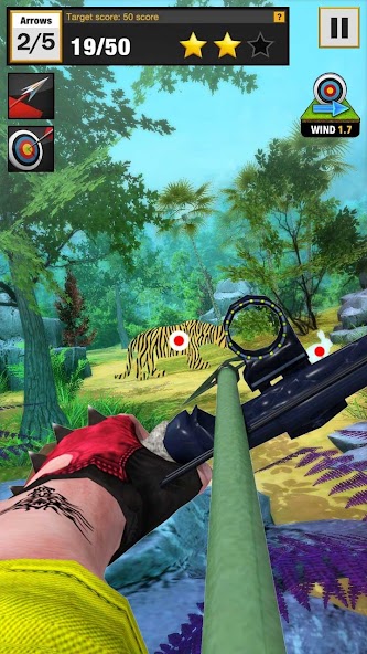 Archery Shooting