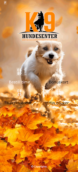 K9 Hundesenter