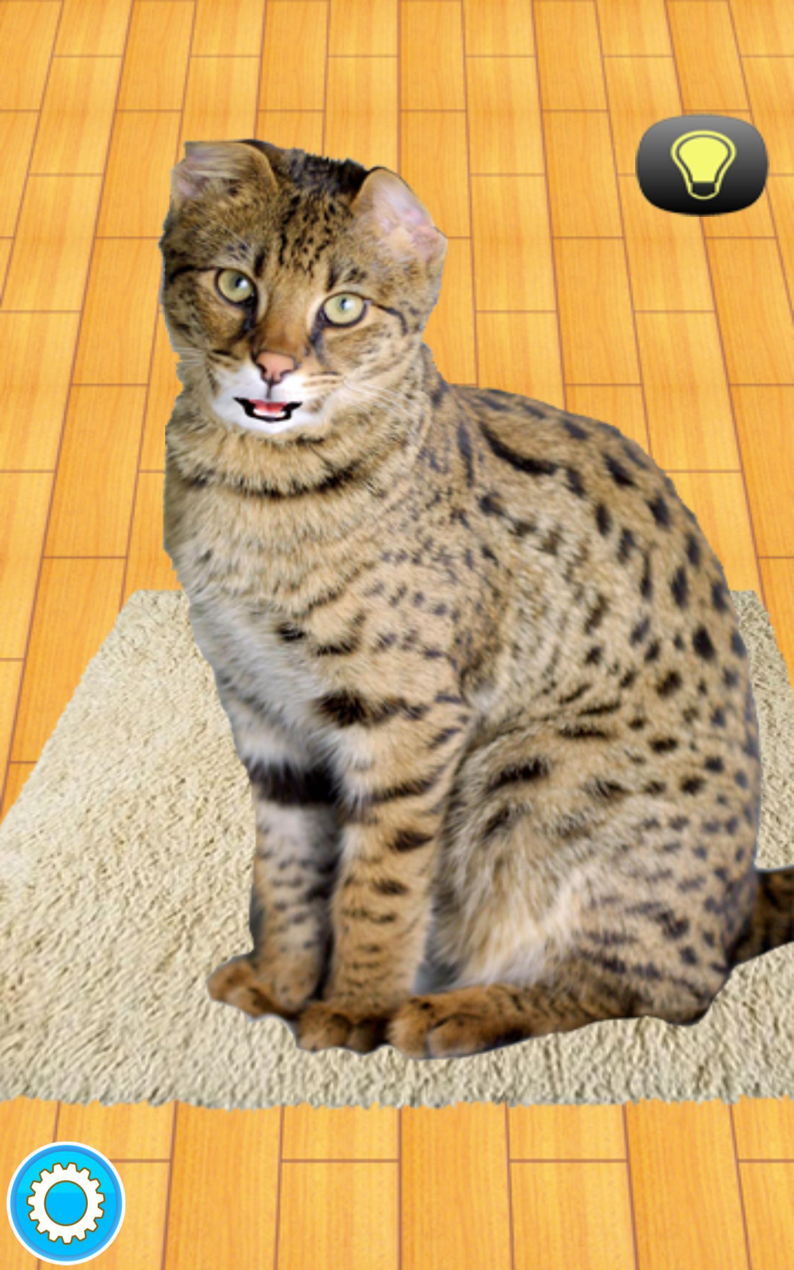 Pet The Cat