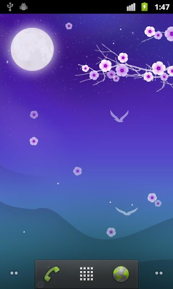 Blooming Night