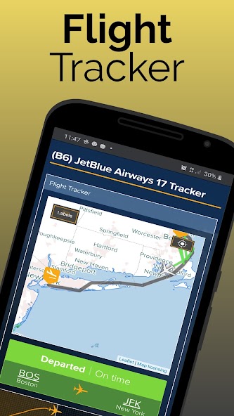 Brisbane Airport Flight Info