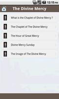 Divine Mercy Prayers