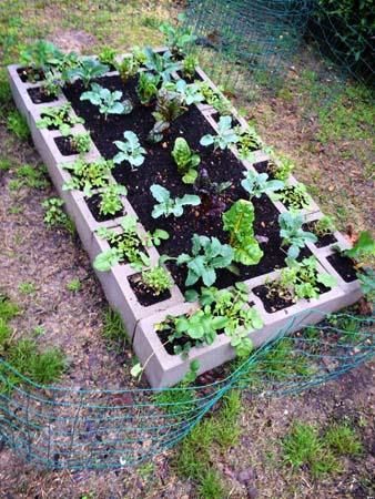 Vegetable Garden : Charming De