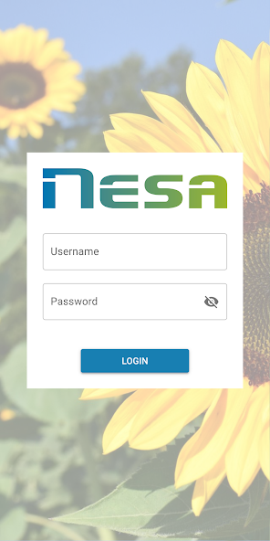 Nesa Sunflower
