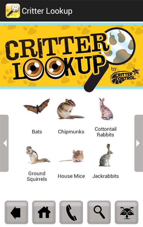Critter Lookup