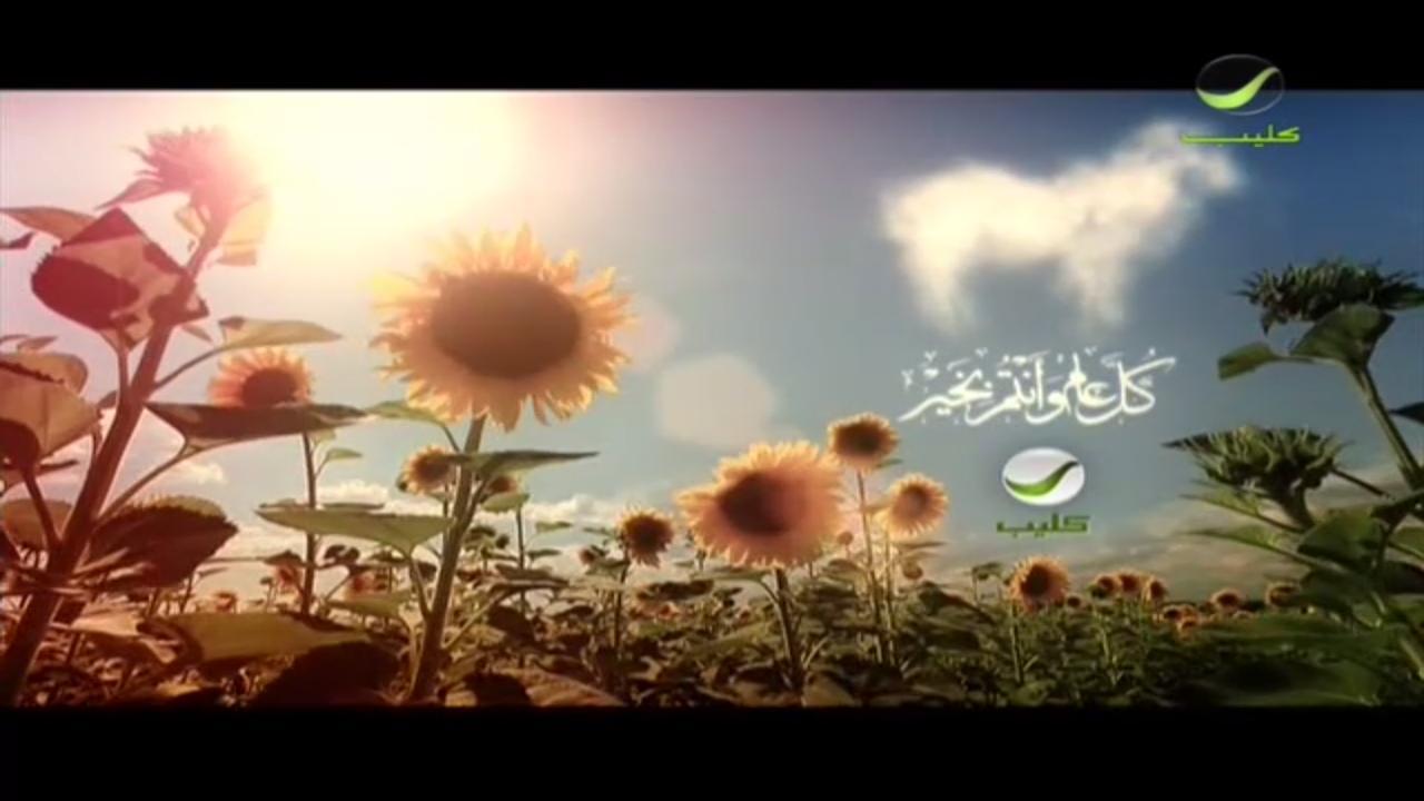 Islamic Live TV & Fun Games