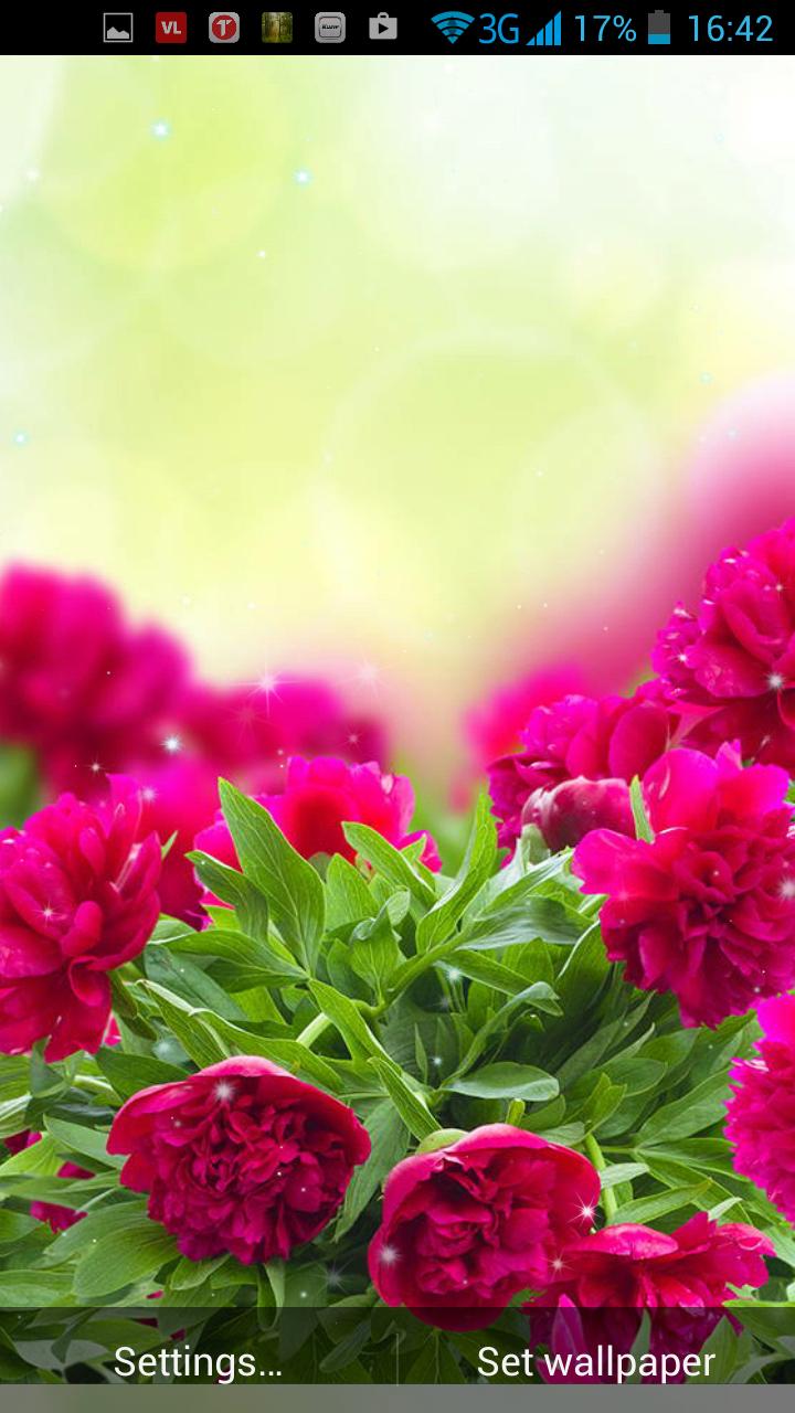 Flower Live Wallpaper