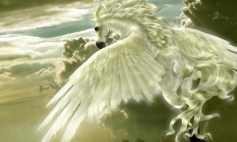 Pegasus wallpapers