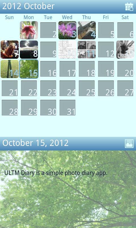 ULTM Diary