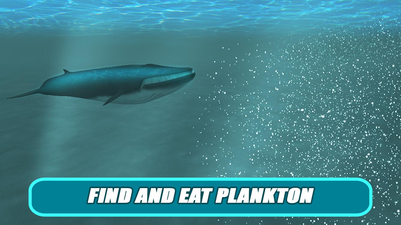 North Whale Survival Simulator