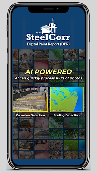 Digital Paint Report (DPR)