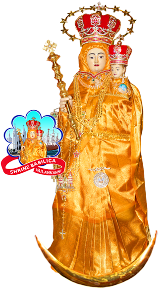 Vailankanni Shrine Live Mass