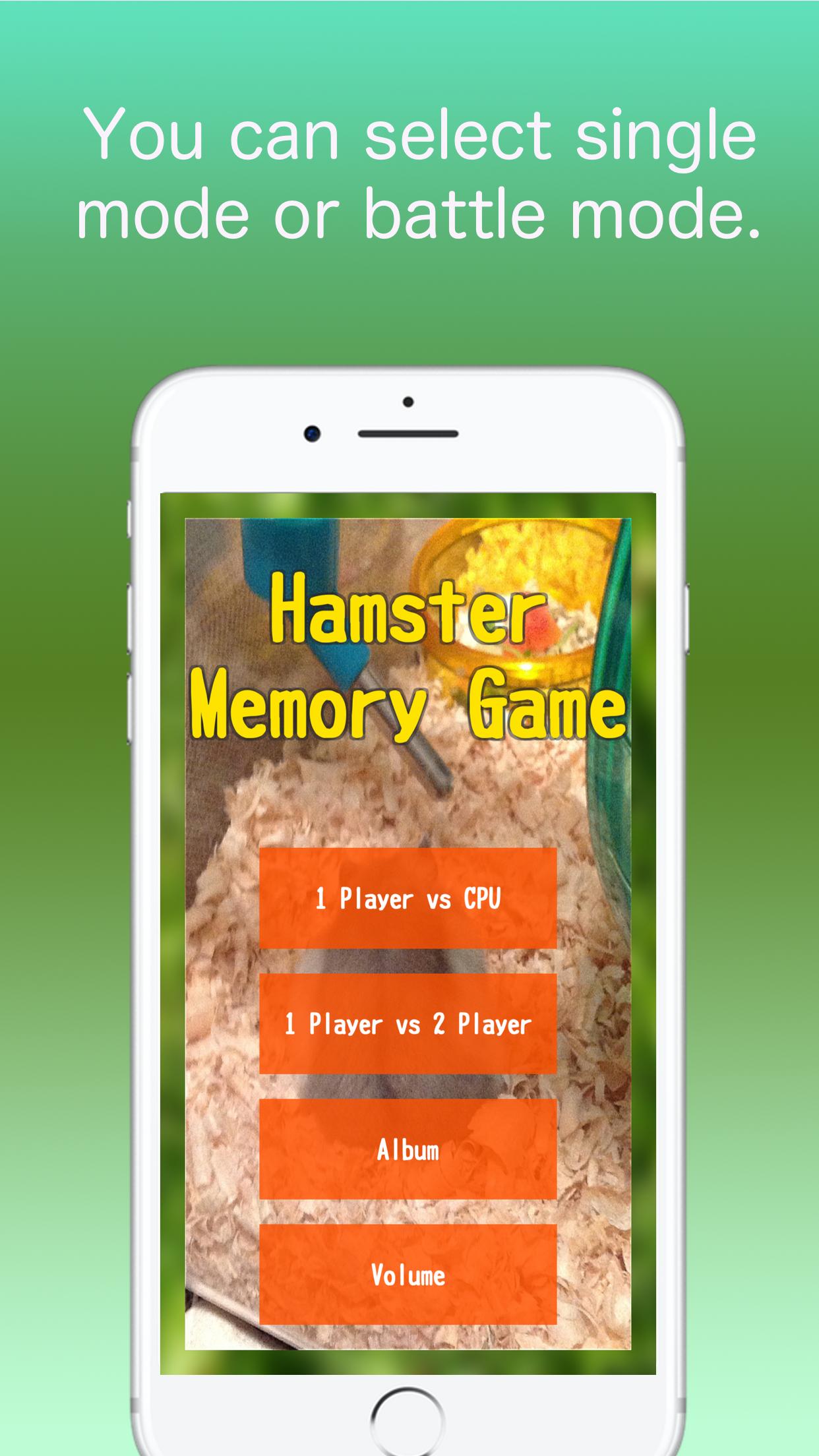 Hamster Memory Game