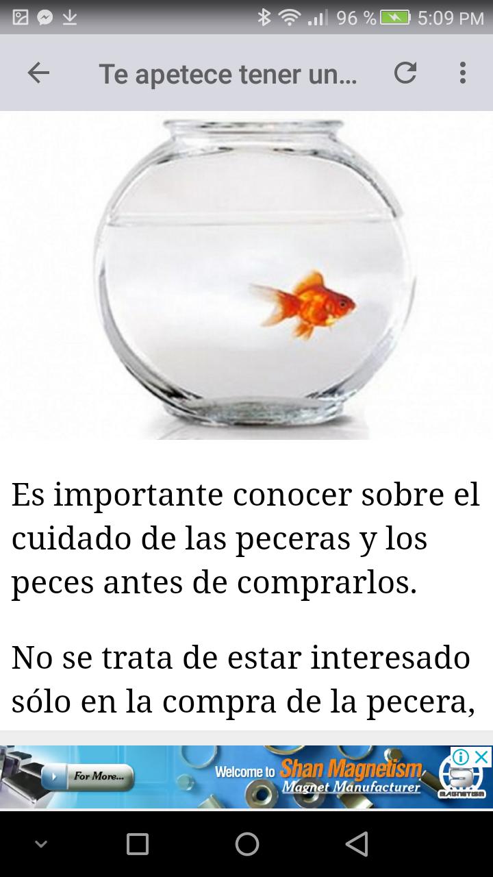 Tu pecera limpia y reluciente