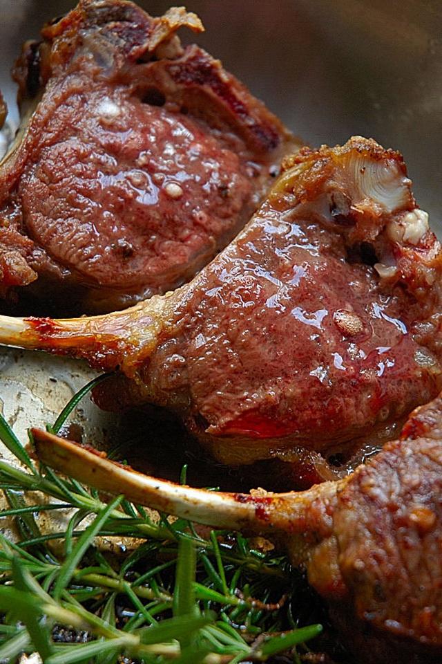 Lamb Recipes Free!
