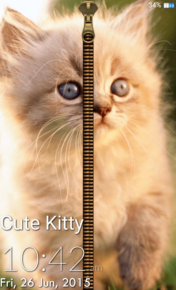 Cute Kitty Zipper Lock Screen
