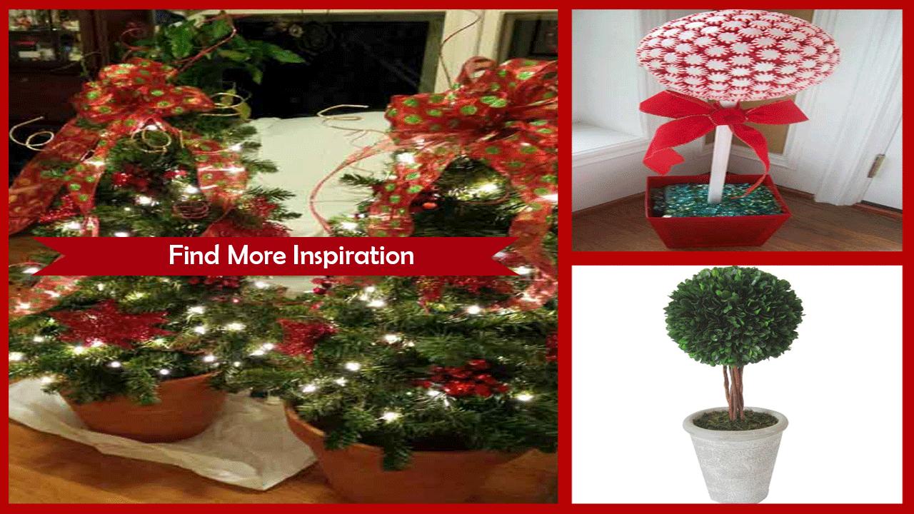 1000+ Live Topiary Plants