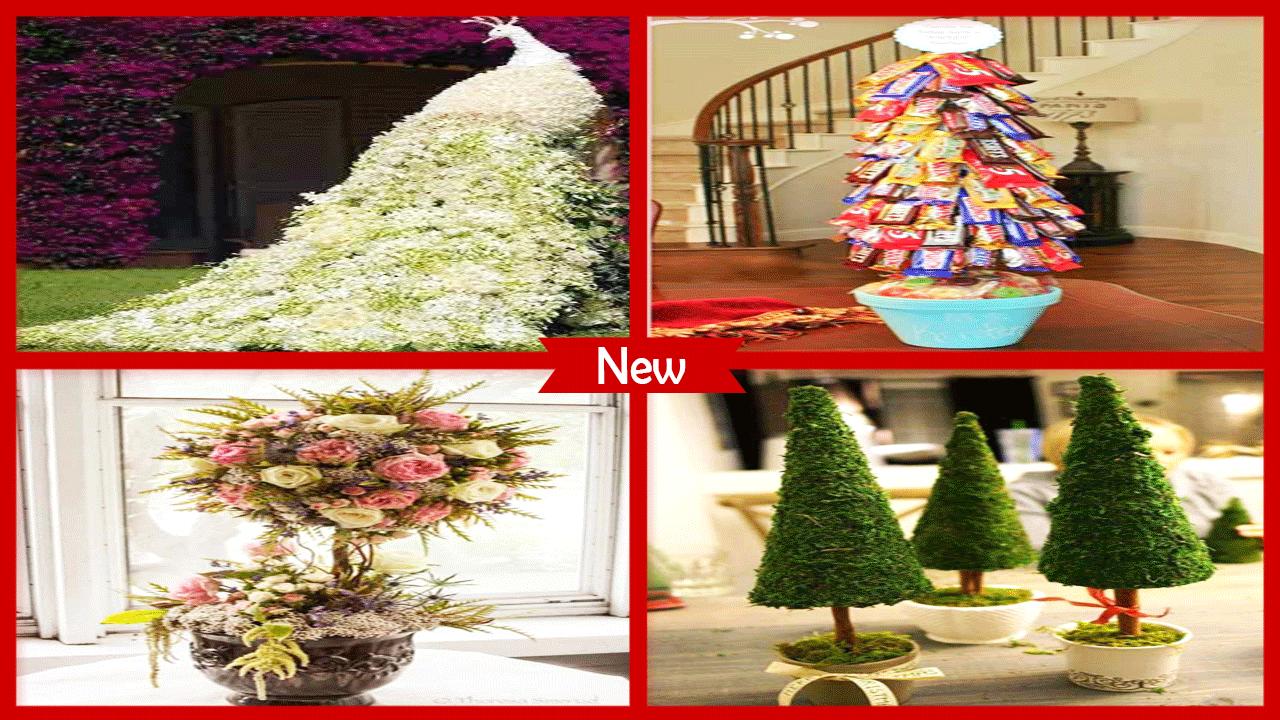 1000+ Live Topiary Plants