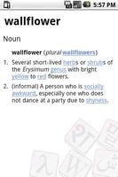 Word of the Day Widget