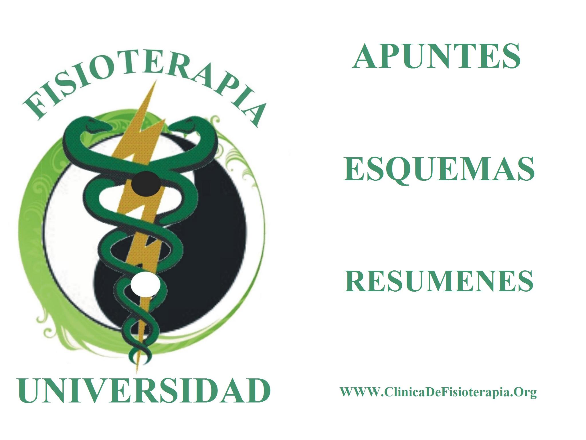 Apuntes Fisioterapia
