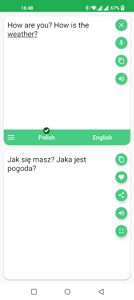 Polish - English Translator