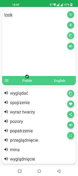 Polish - English Translator