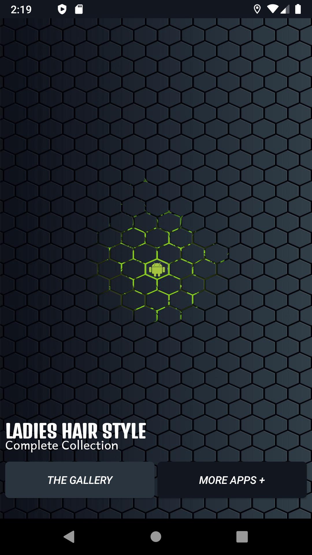 Ladies Hair Style
