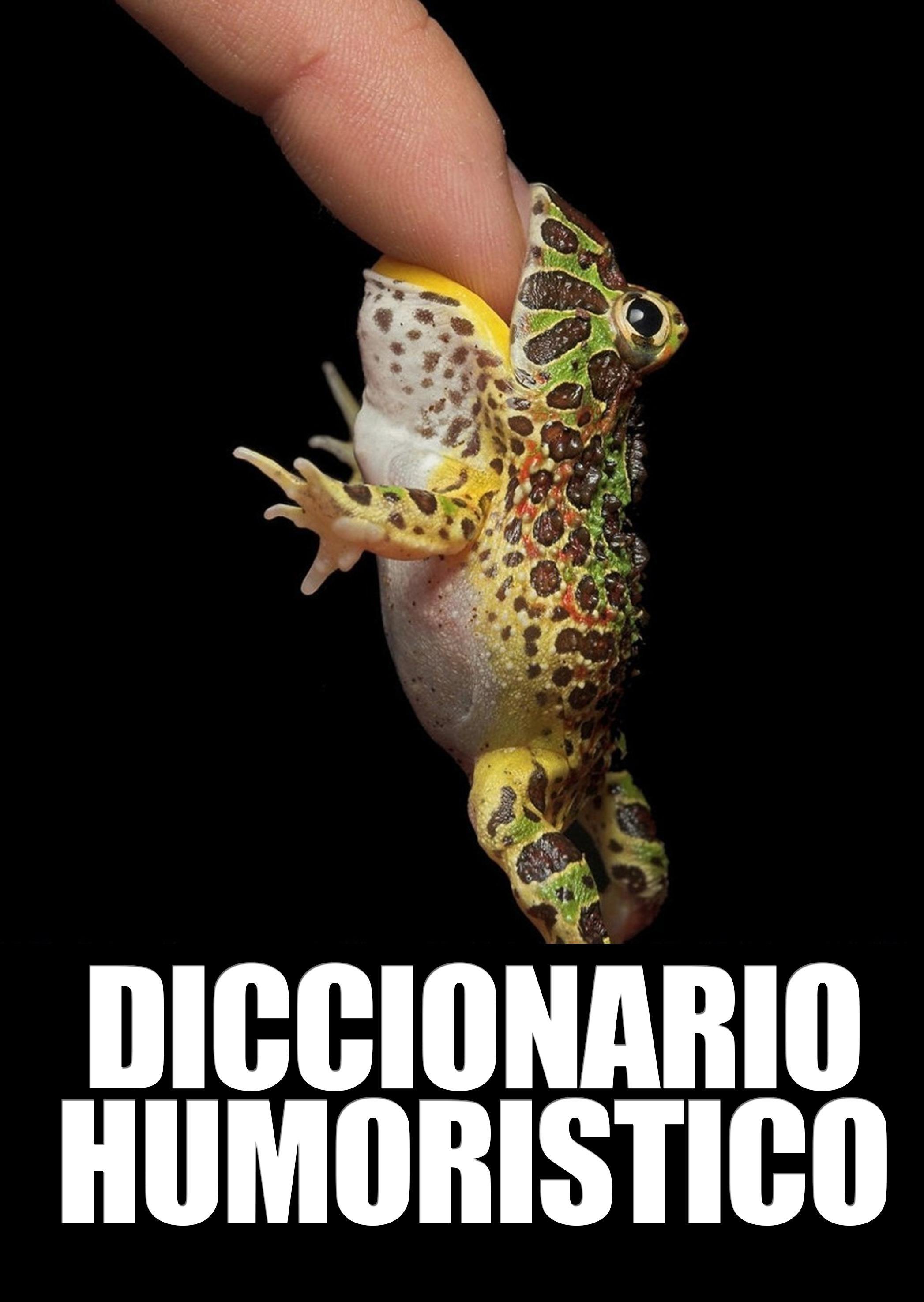 DICCIONARIO DE LA RISA