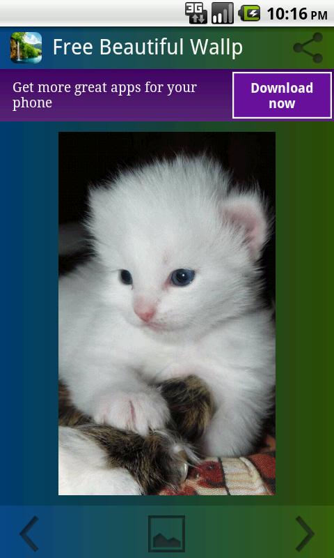 Beautiful Wallpapers HD Free