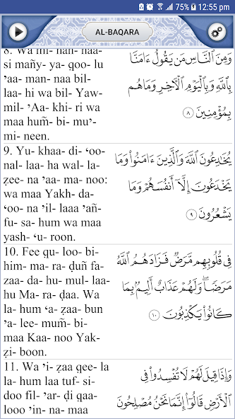Quran Explorer
